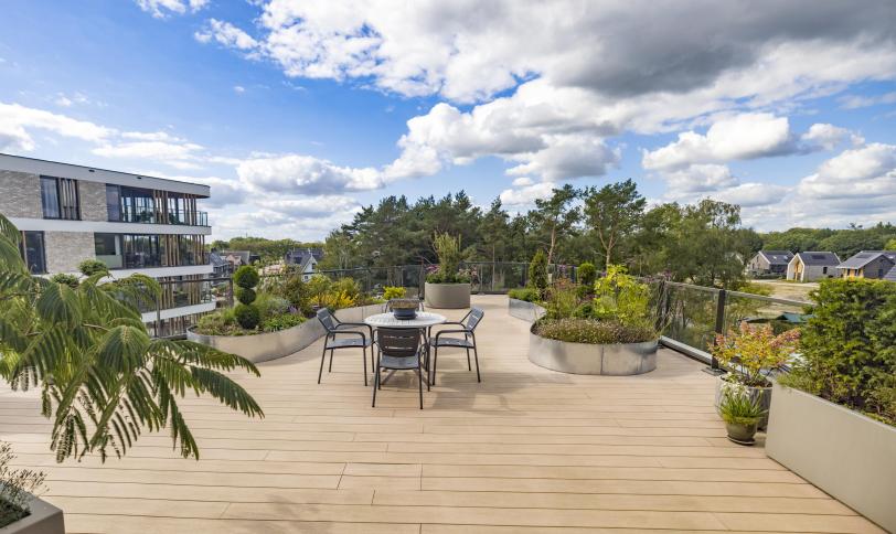 Gestructureerd Coloradobruin